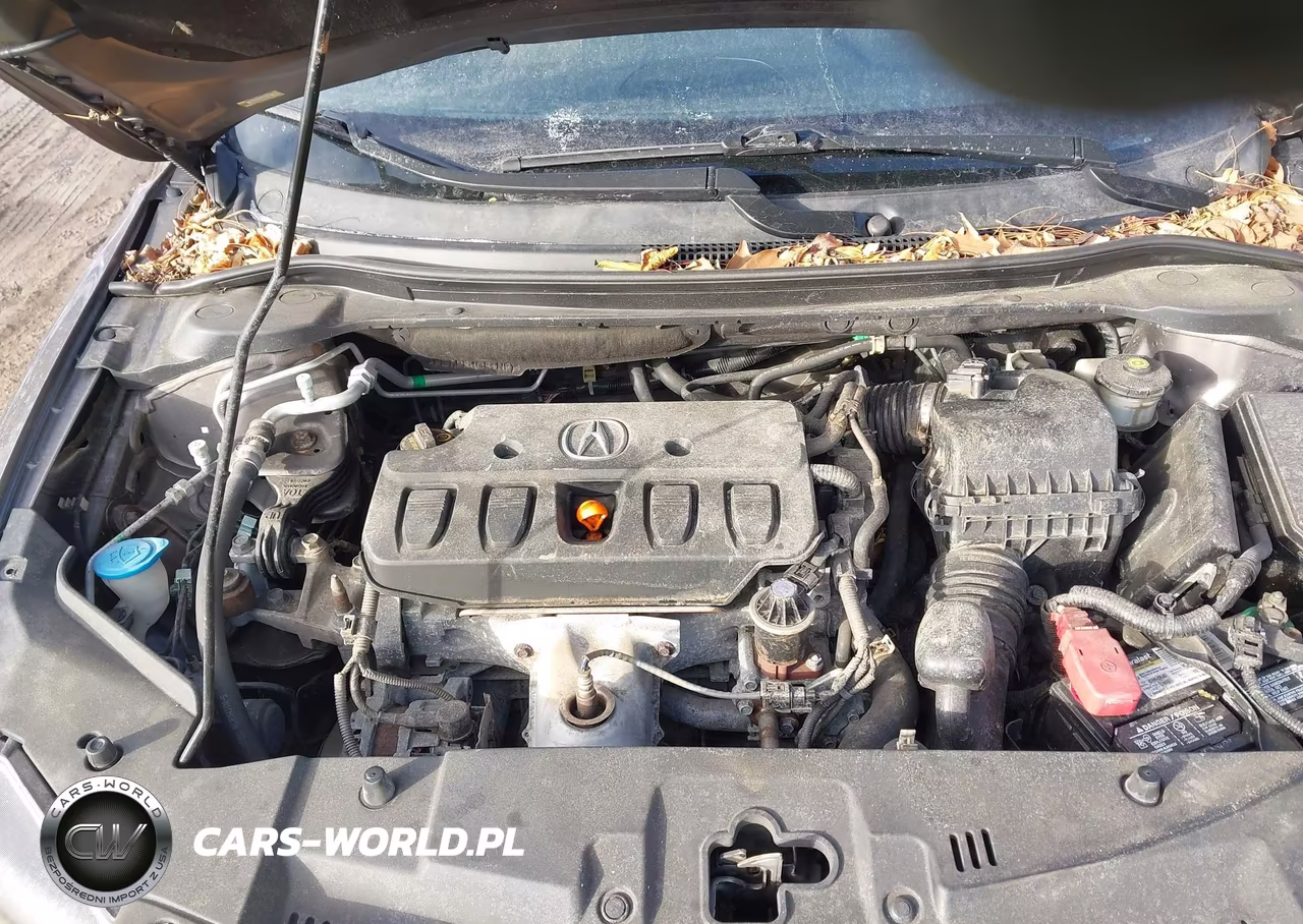 2013 Acura Ilx 2.0L VIN:19VDE1F54DE016168 - 10