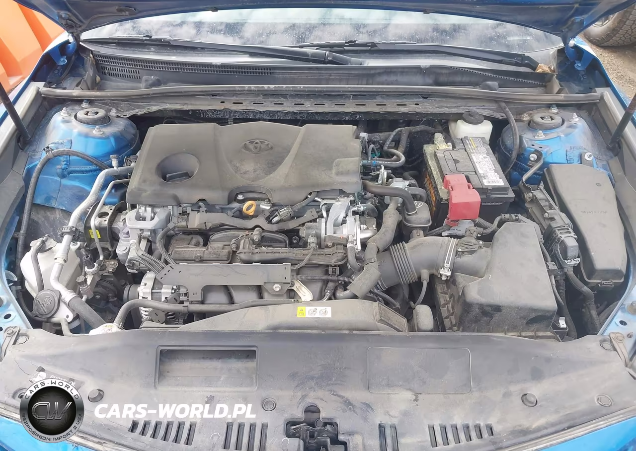 2019 Toyota Camry Xse VIN:4T1B61HK0KU177531 - 10