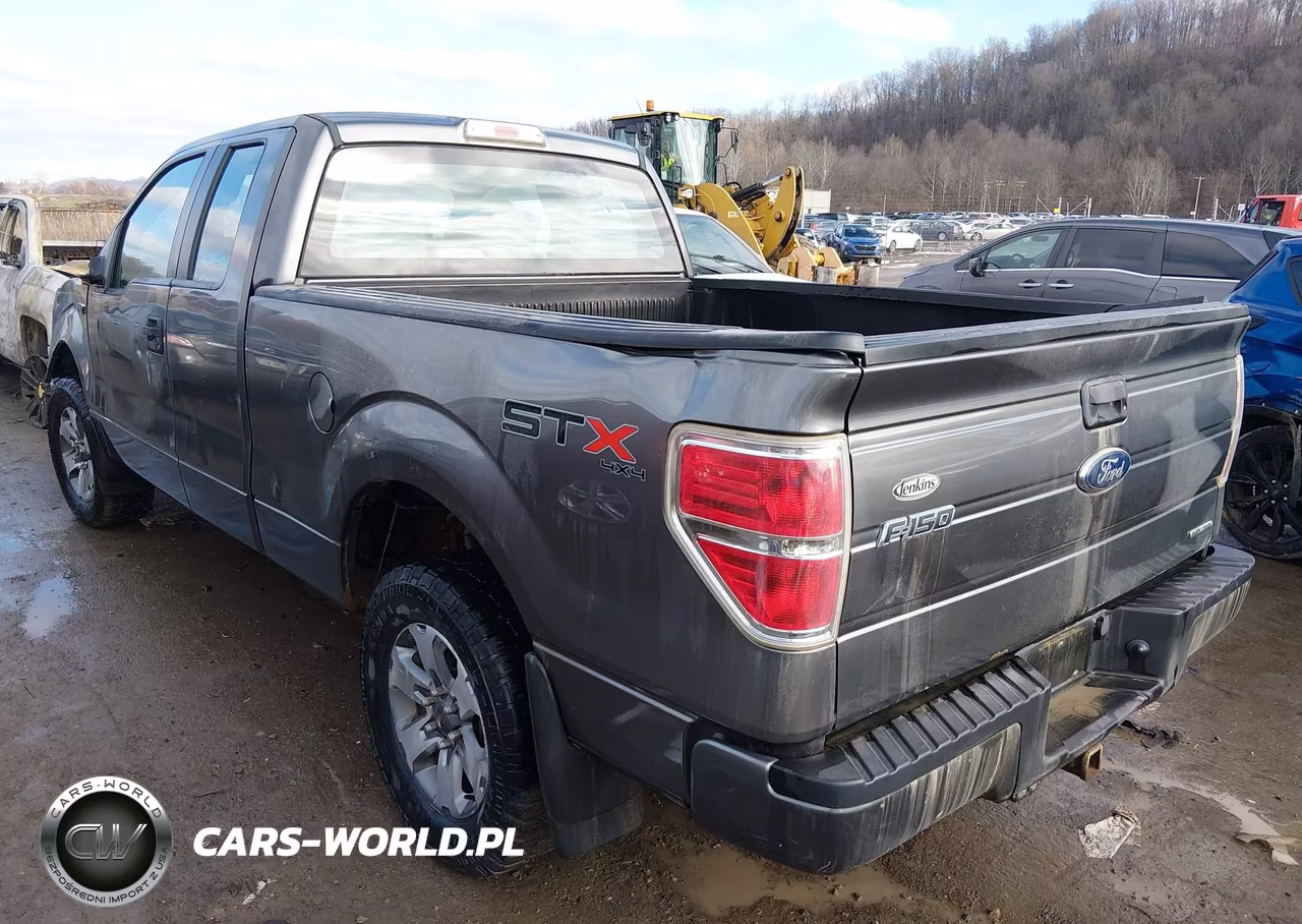 2013 Ford F-150 Stx VIN:1FTFX1EF7DFD79459 - 3