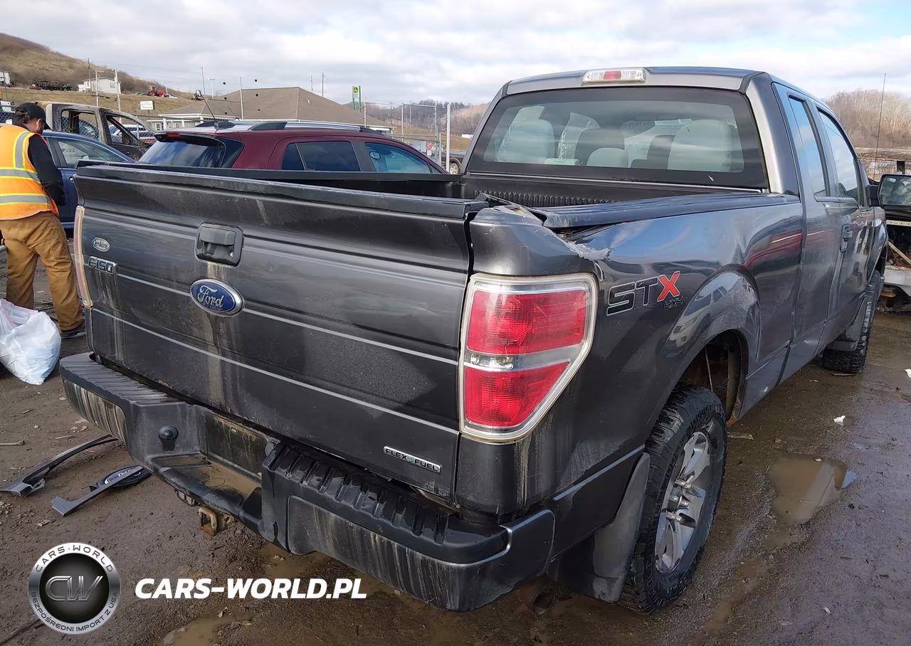 2013 Ford F-150 Stx VIN:1FTFX1EF7DFD79459 - 4