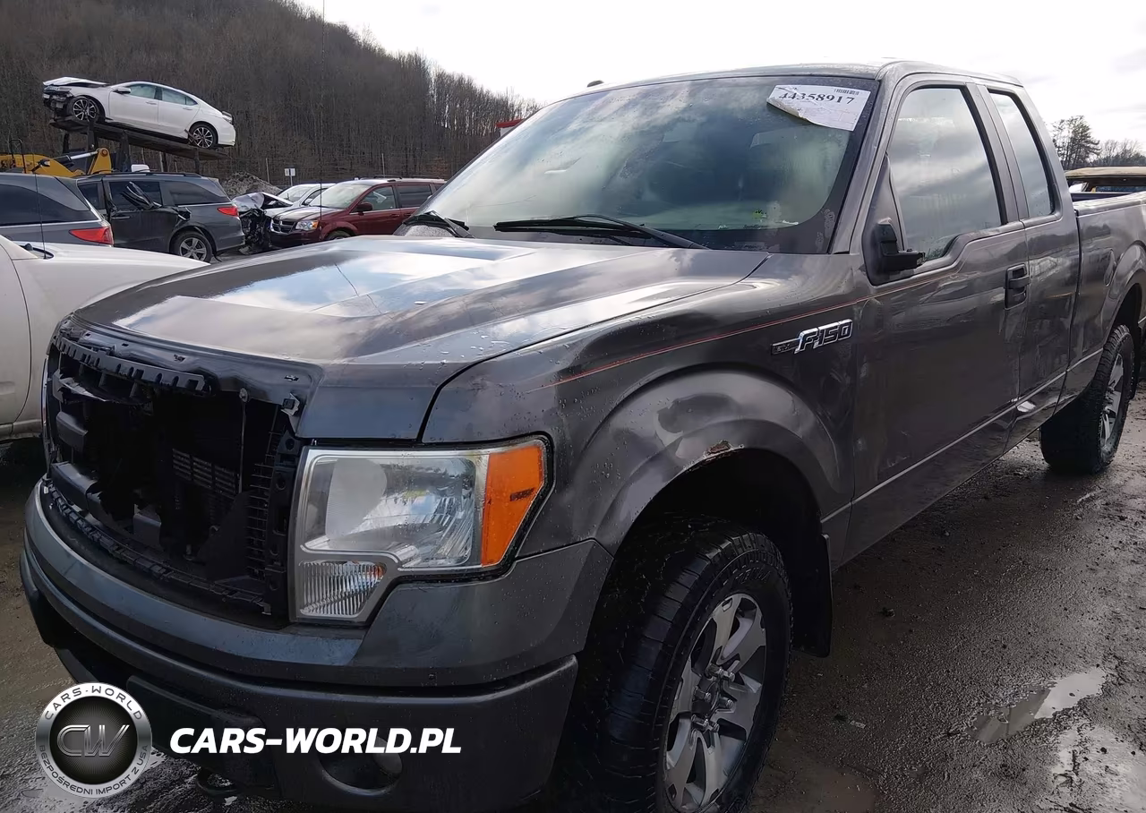 2013 Ford F-150 Stx VIN:1FTFX1EF7DFD79459 - 6