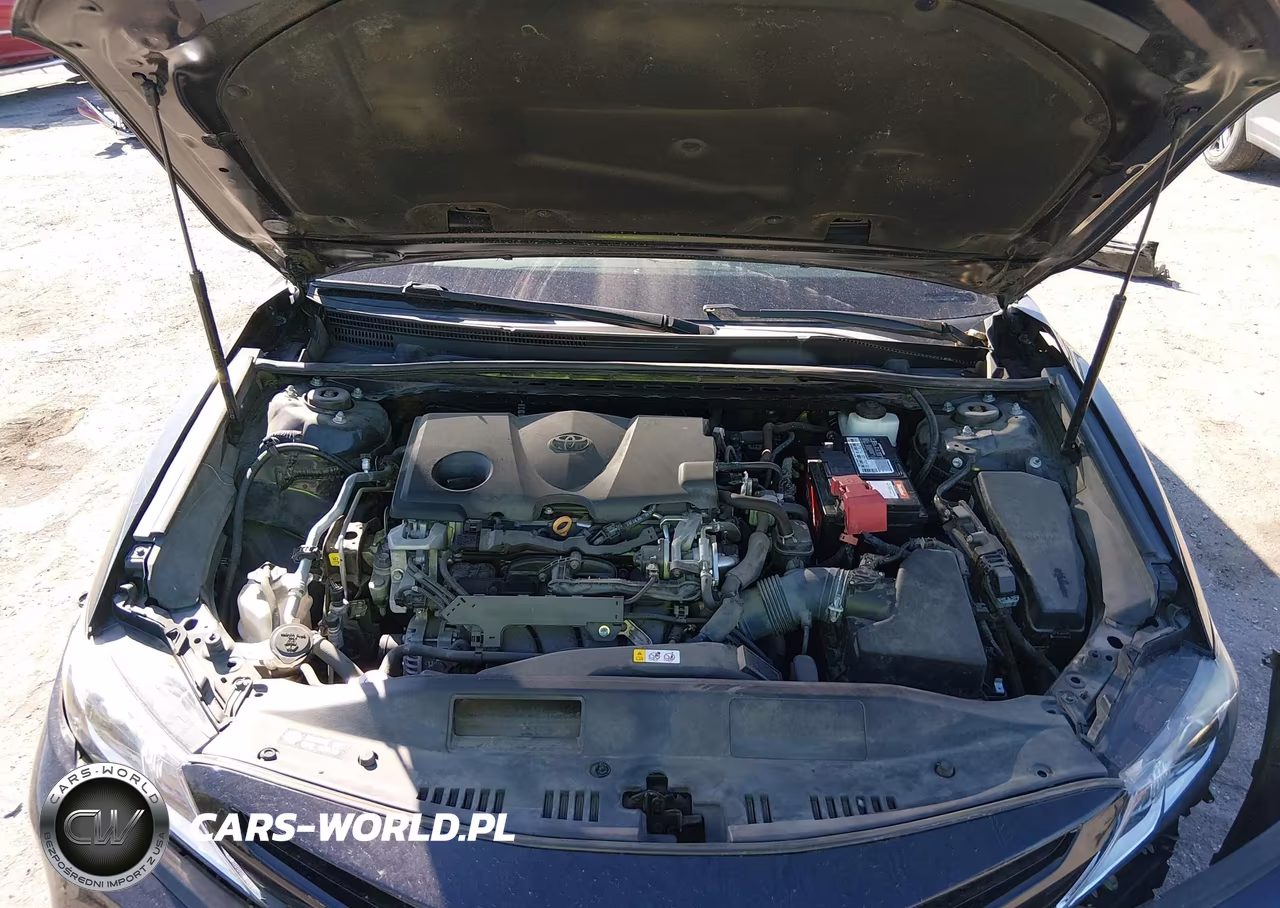 2019 Toyota Camry Se VIN:4T1B11HK7KU293677 - 10
