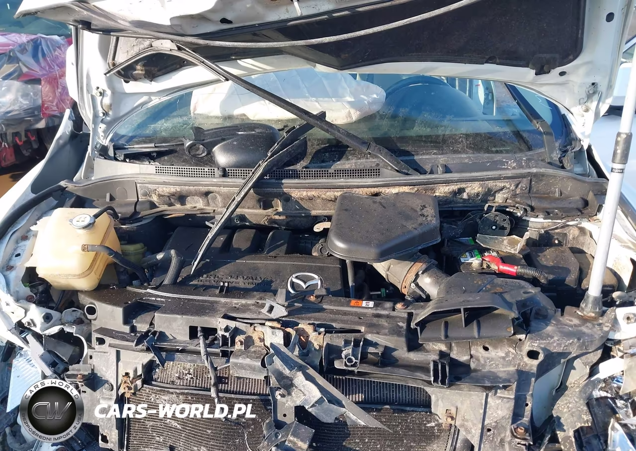 2011 Mazda Cx-9 Grand Touring VIN:JM3TB3DVXB0327708 - 10