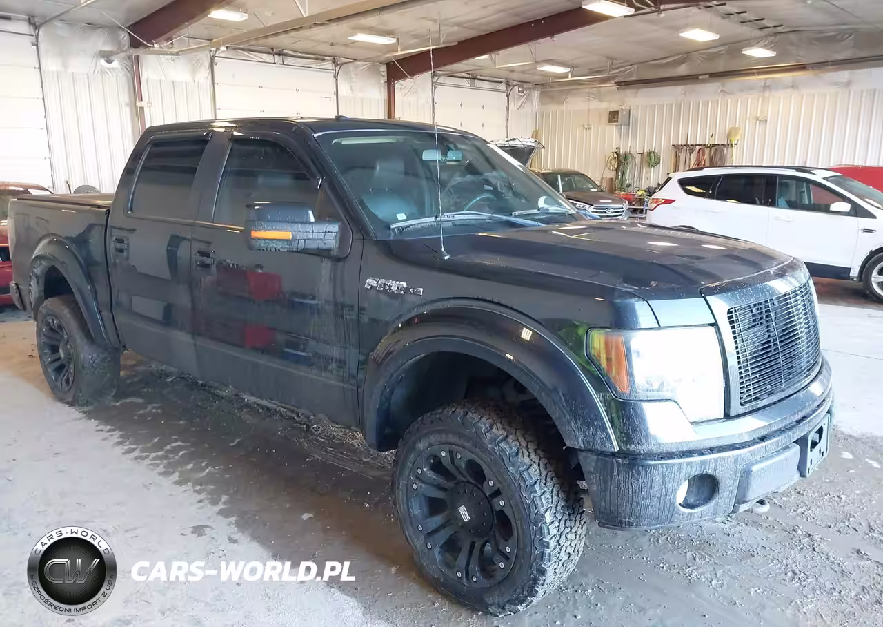 2010 Ford F-150 Fx4-Harley-Davidson-King Ranch-Lariat-Platinum-Xl-Xlt