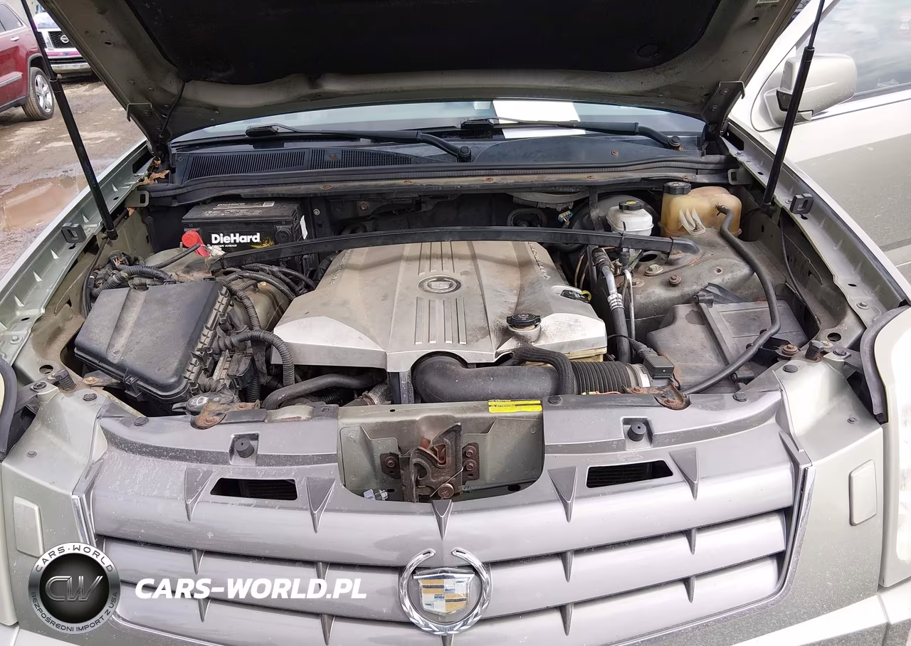 2005 Cadillac Srx V8 VIN:1GYEE63AX50107332 - 10