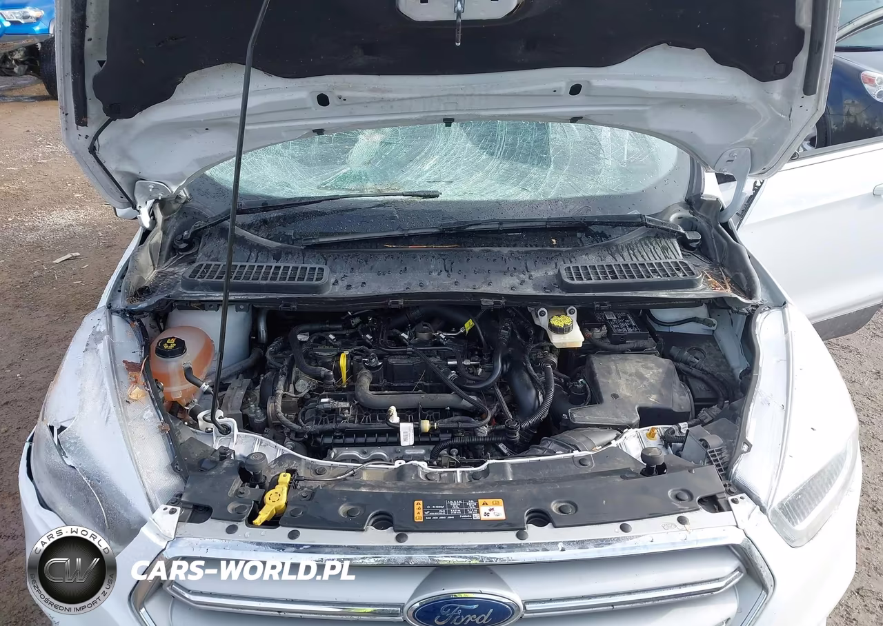 2019 Ford Escape Sel VIN:1FMCU9HD0KUB15850 - 10
