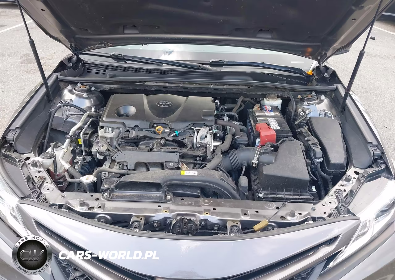 2019 Toyota Camry Se VIN:4T1B11HK5KU267062 - 10