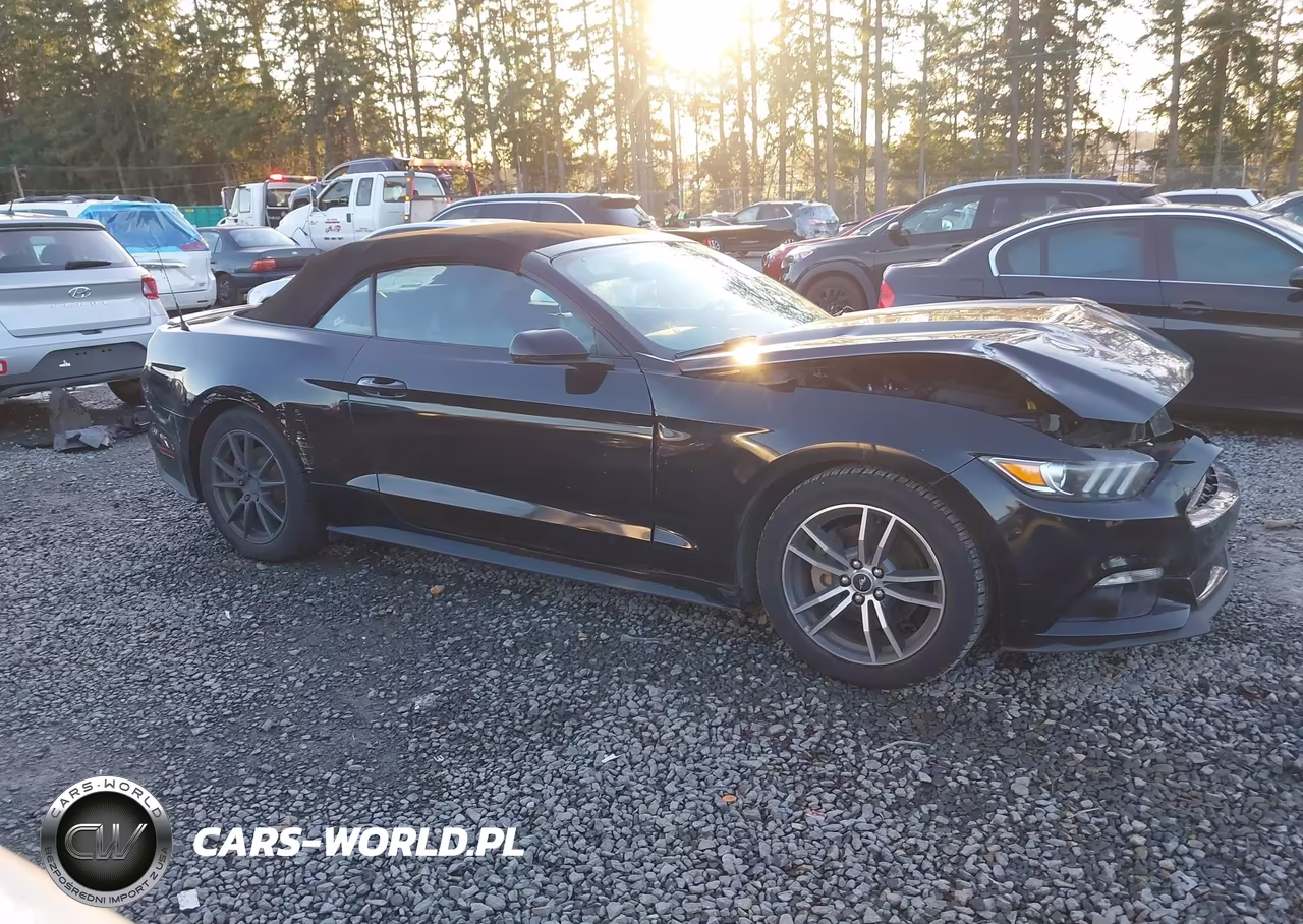 2017 Ford Mustang Ecoboost Premium VIN:1FATP8UH2H5267474 - 14