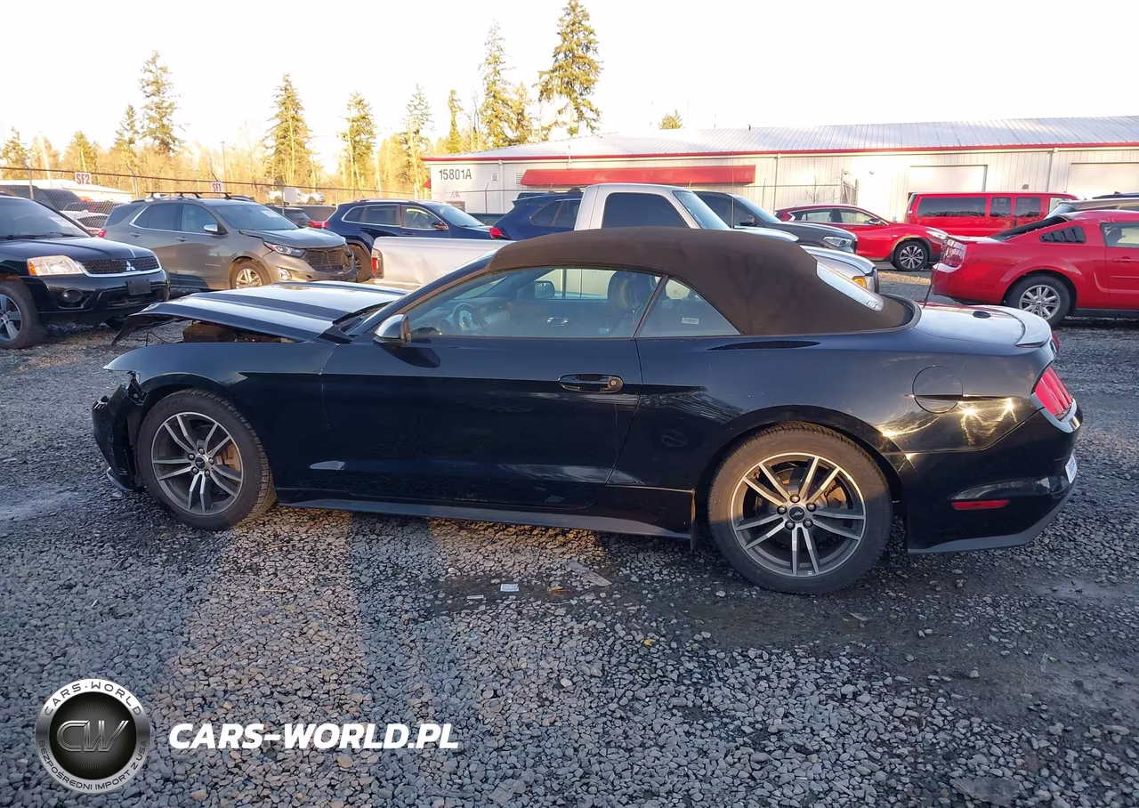 2017 Ford Mustang Ecoboost Premium VIN:1FATP8UH2H5267474 - 15