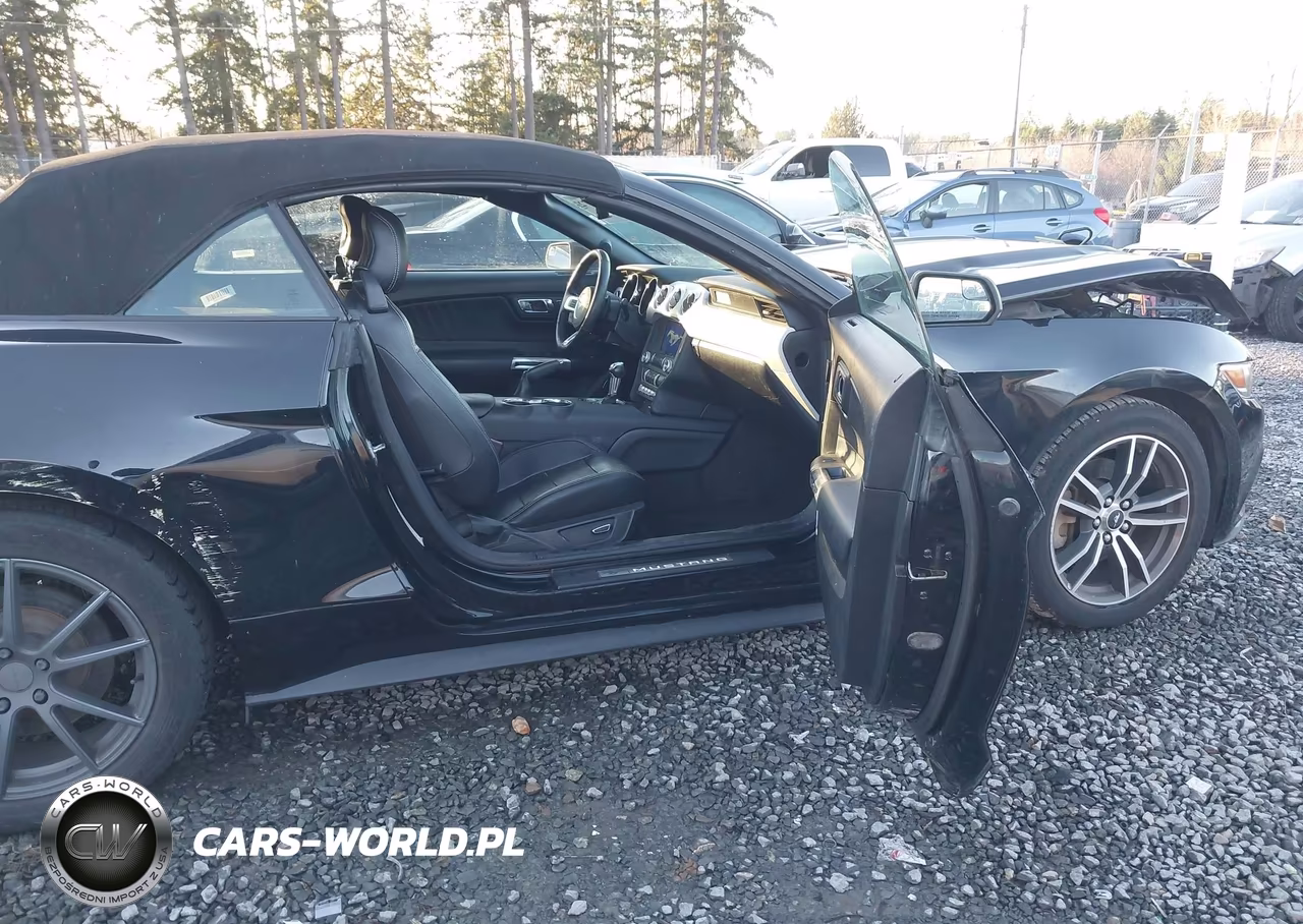 2017 Ford Mustang Ecoboost Premium VIN:1FATP8UH2H5267474 - 5