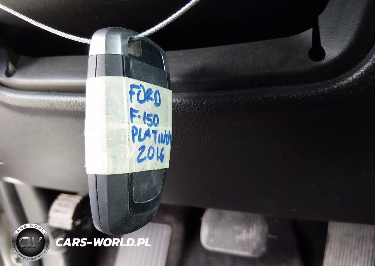 2016 Ford F-150 Platinum VIN:1FTEW1EG8GFA77822 - 11