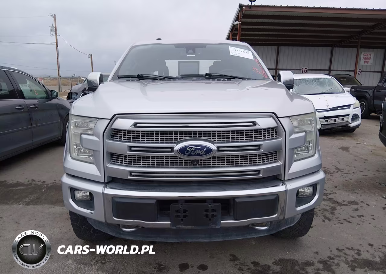 2016 Ford F-150 Platinum VIN:1FTEW1EG8GFA77822 - 12