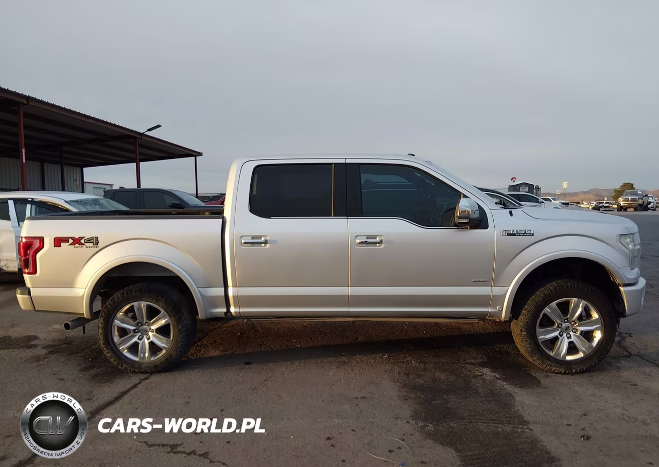 2016 Ford F-150 Platinum VIN:1FTEW1EG8GFA77822 - 13