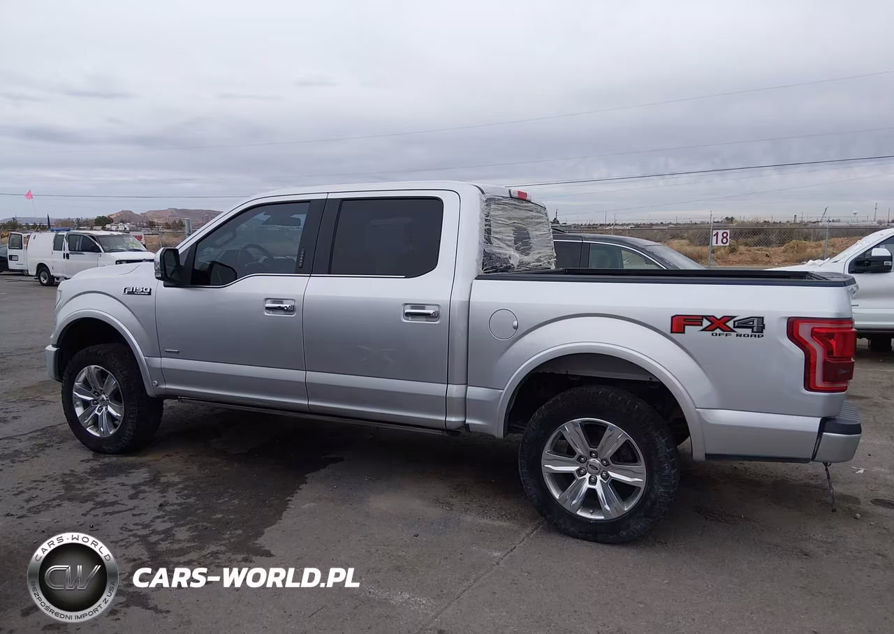 2016 Ford F-150 Platinum VIN:1FTEW1EG8GFA77822 - 14