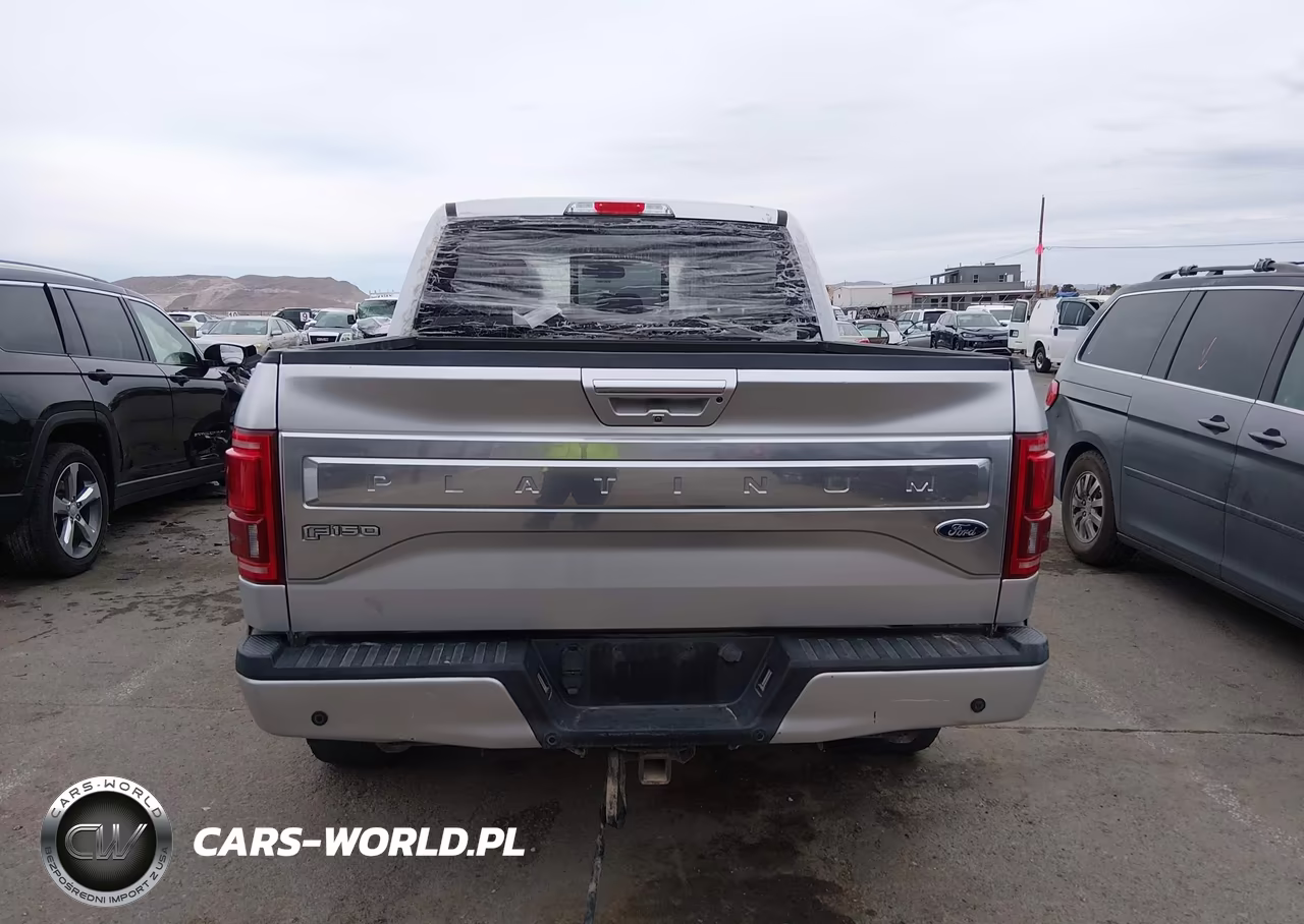 2016 Ford F-150 Platinum VIN:1FTEW1EG8GFA77822 - 16