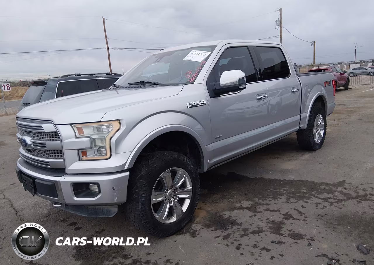 2016 Ford F-150 Platinum VIN:1FTEW1EG8GFA77822 - 2