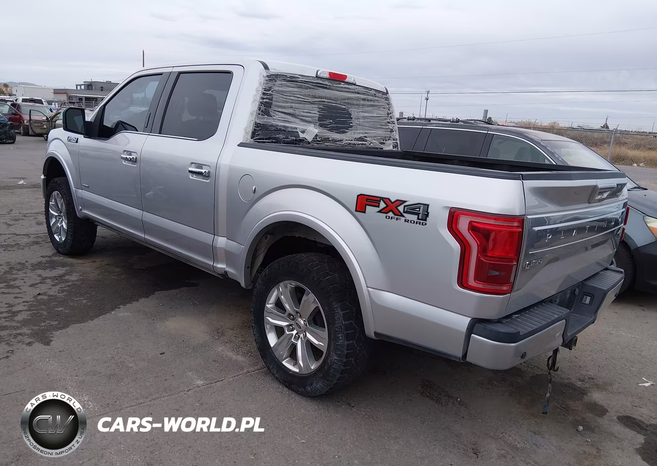 2016 Ford F-150 Platinum VIN:1FTEW1EG8GFA77822 - 3