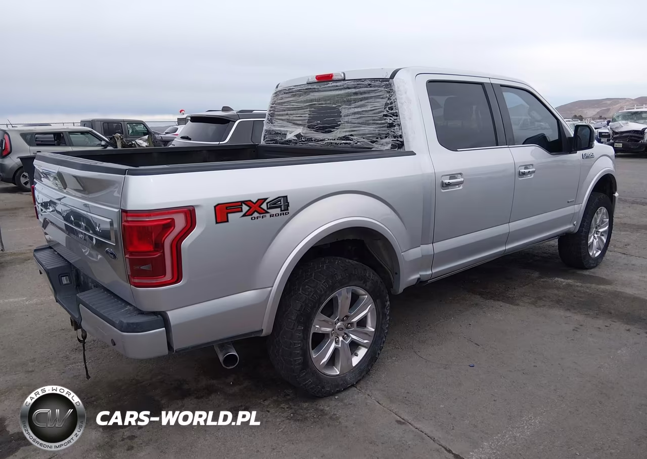 2016 Ford F-150 Platinum VIN:1FTEW1EG8GFA77822 - 4