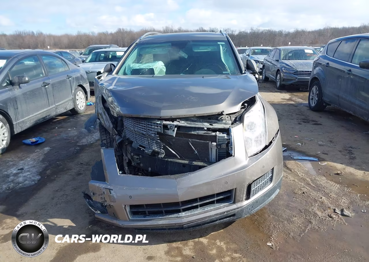 2011 Cadillac Srx Luxury Collection VIN:3GYFNDEY6BS527127 - 12