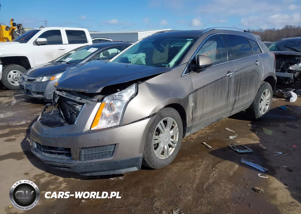 2011 Cadillac Srx Luxury Collection VIN:3GYFNDEY6BS527127 - 2