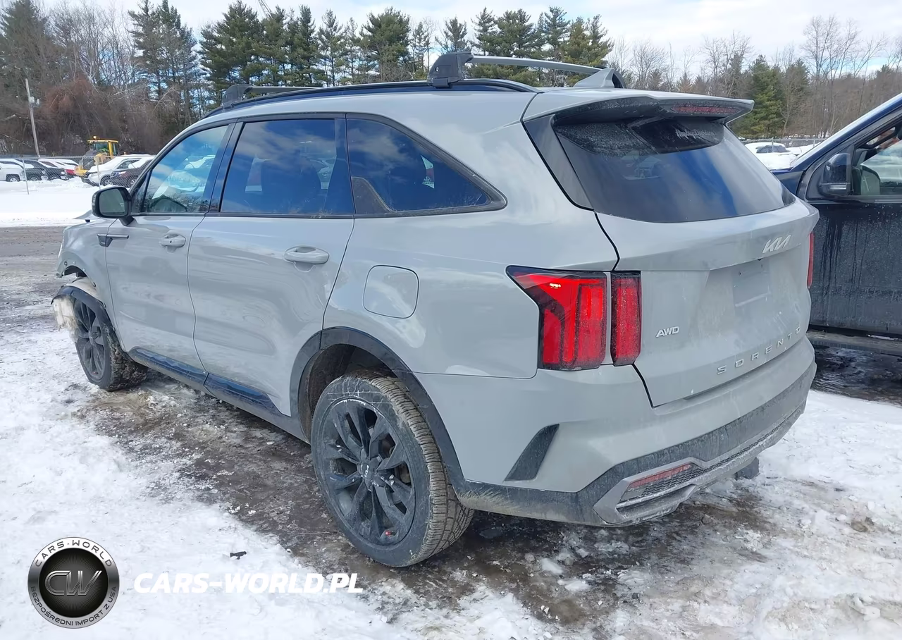 2022 Kia Sorento Sx VIN:5XYRKDLF0NG080698 - 3