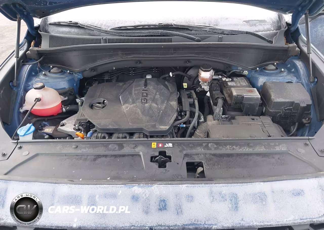 2023 Hyundai Santa Fe Se VIN:5NMS1DAJ0PH582874 - 10