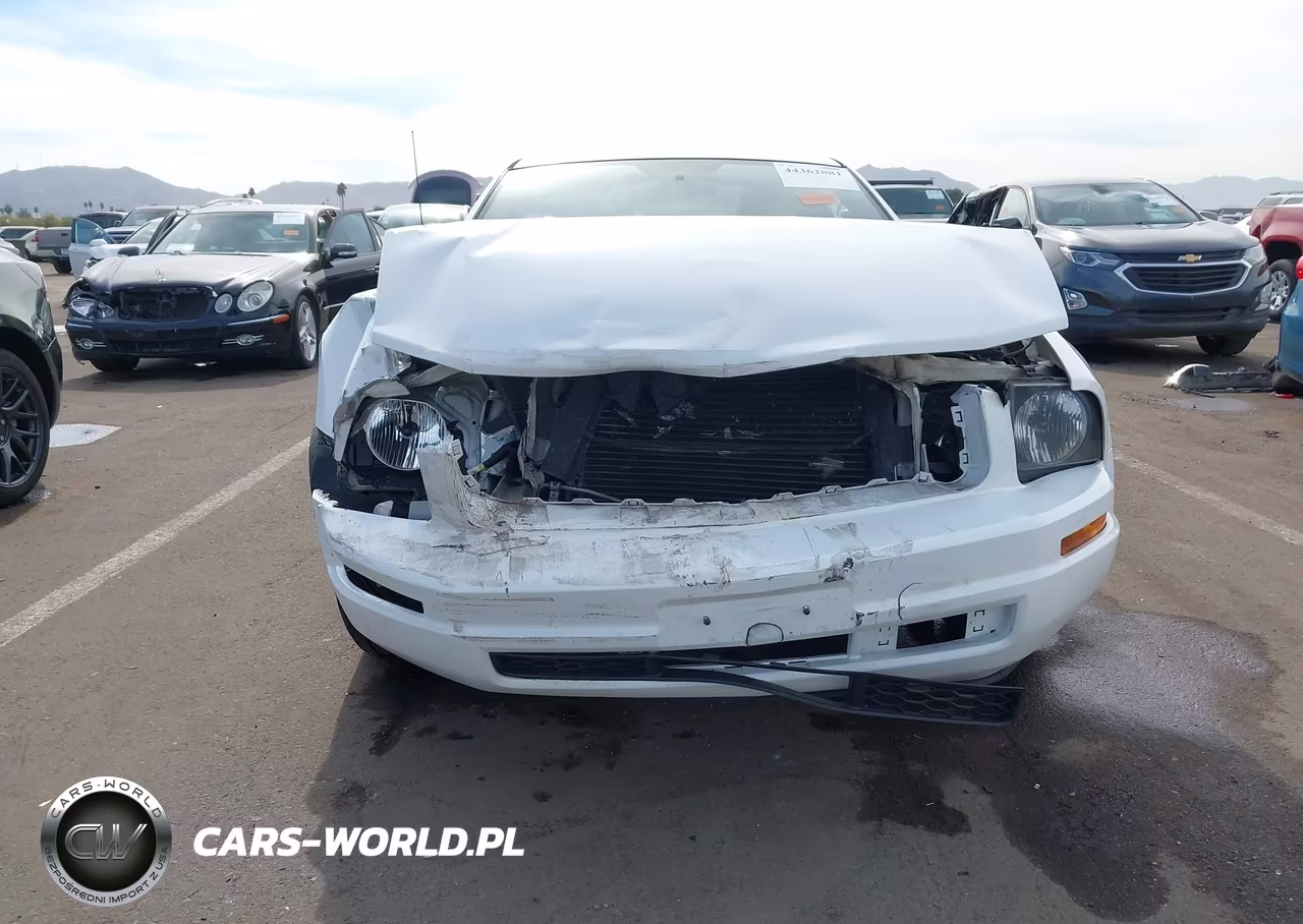 2005 Ford Mustang V6 Deluxe-V6 Premium VIN:1ZVFT80N555130293 - 13