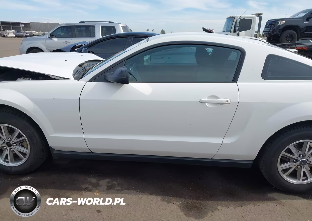 2005 Ford Mustang V6 Deluxe-V6 Premium VIN:1ZVFT80N555130293 - 15