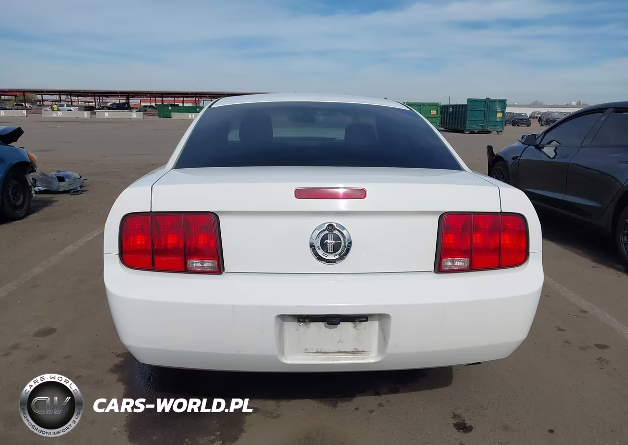 2005 Ford Mustang V6 Deluxe-V6 Premium VIN:1ZVFT80N555130293 - 17