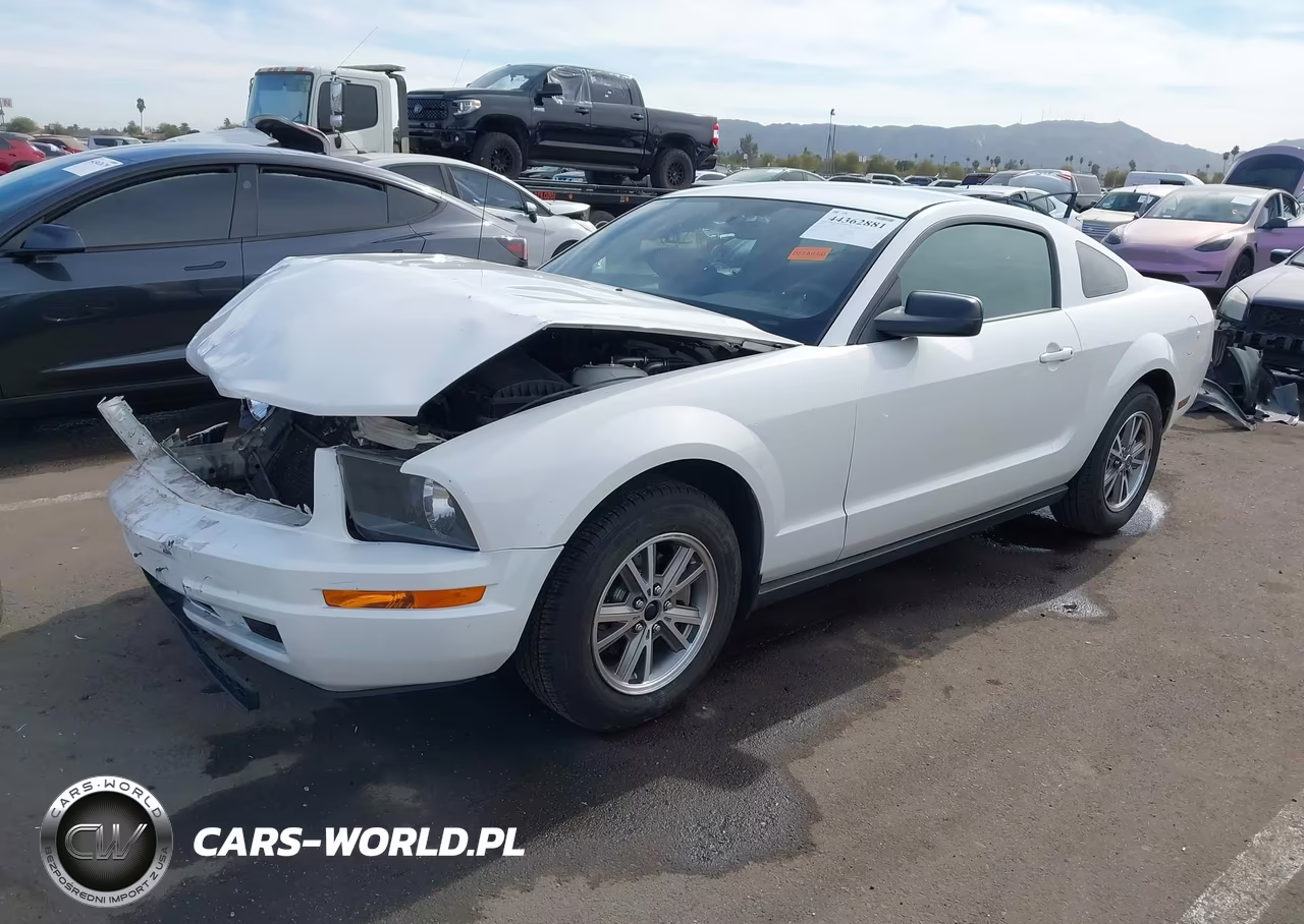 2005 Ford Mustang V6 Deluxe-V6 Premium VIN:1ZVFT80N555130293 - 2