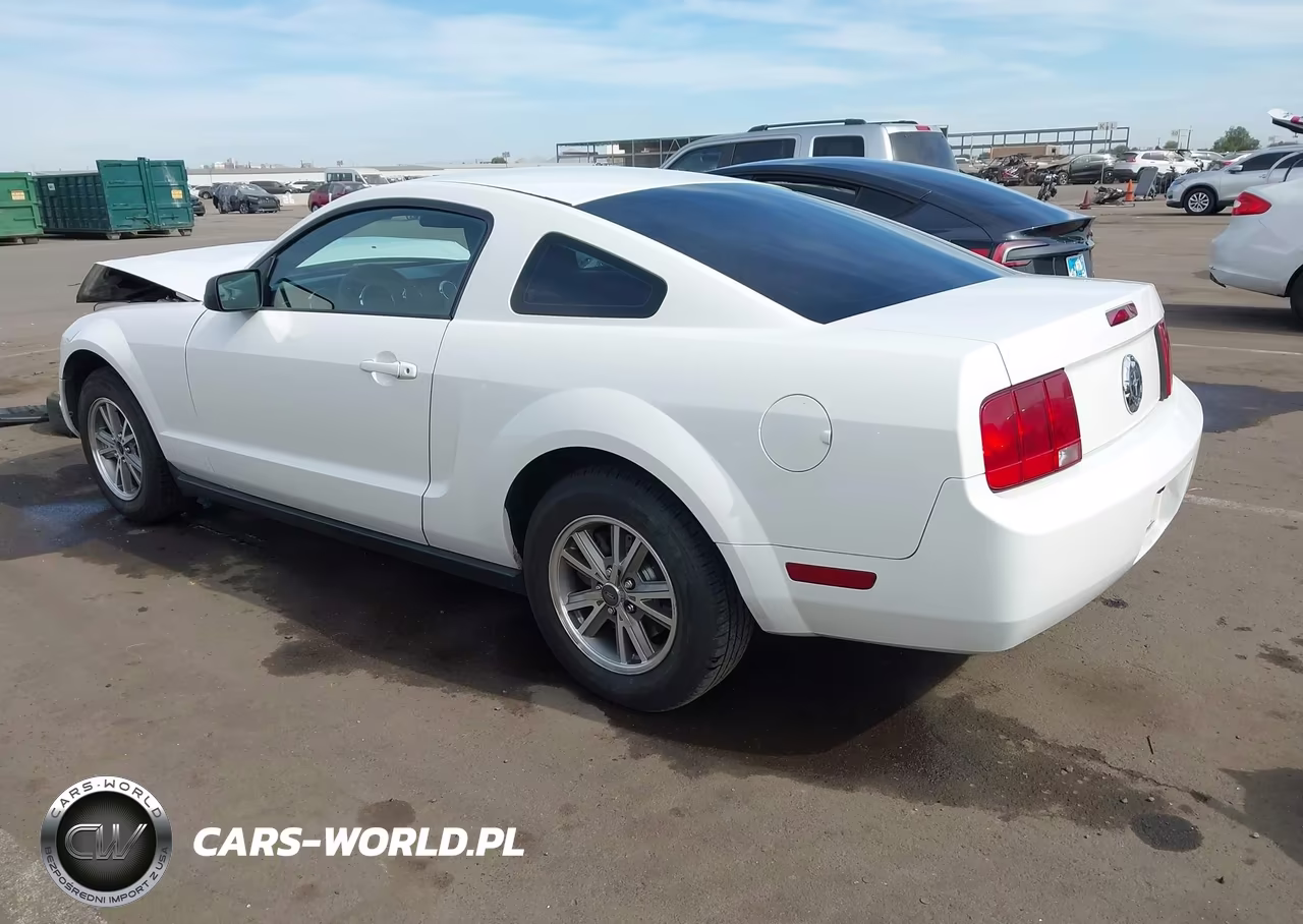 2005 Ford Mustang V6 Deluxe-V6 Premium VIN:1ZVFT80N555130293 - 3