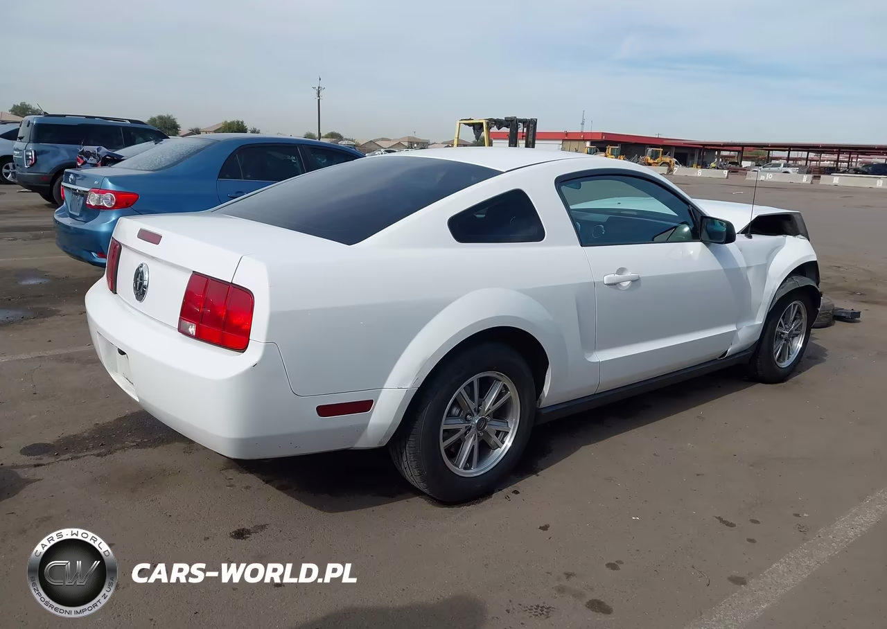 2005 Ford Mustang V6 Deluxe-V6 Premium VIN:1ZVFT80N555130293 - 4