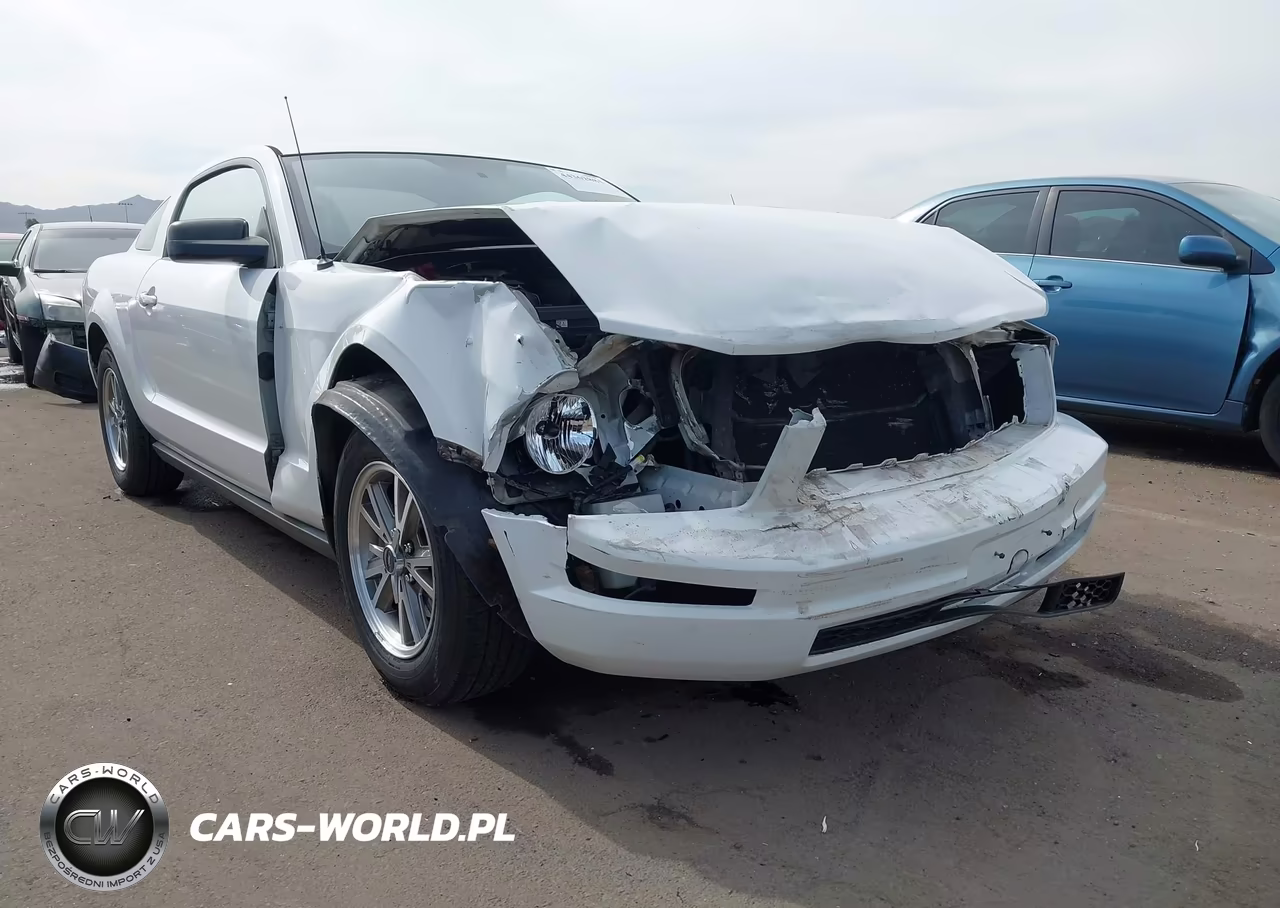 2005 Ford Mustang V6 Deluxe-V6 Premium VIN:1ZVFT80N555130293 - 6