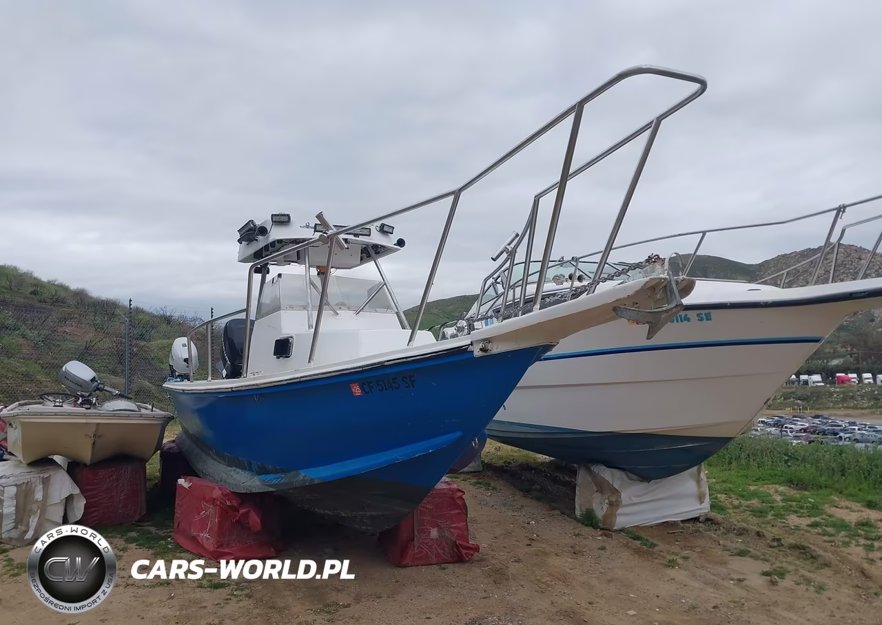 1995 Nautique Paragon 25Ft