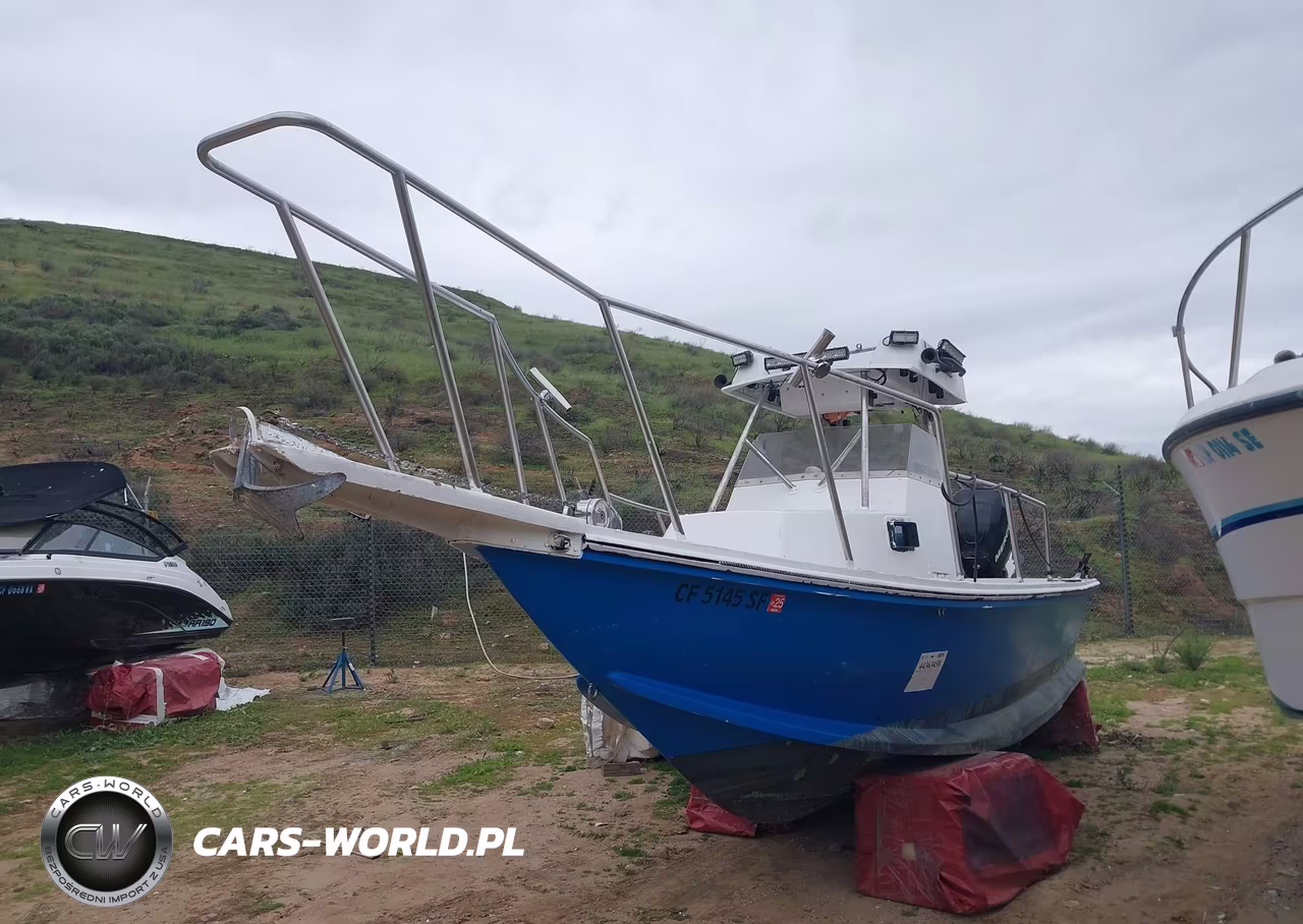 1995 Nautique Paragon 25Ft VIN:NKB26006D494 - 2