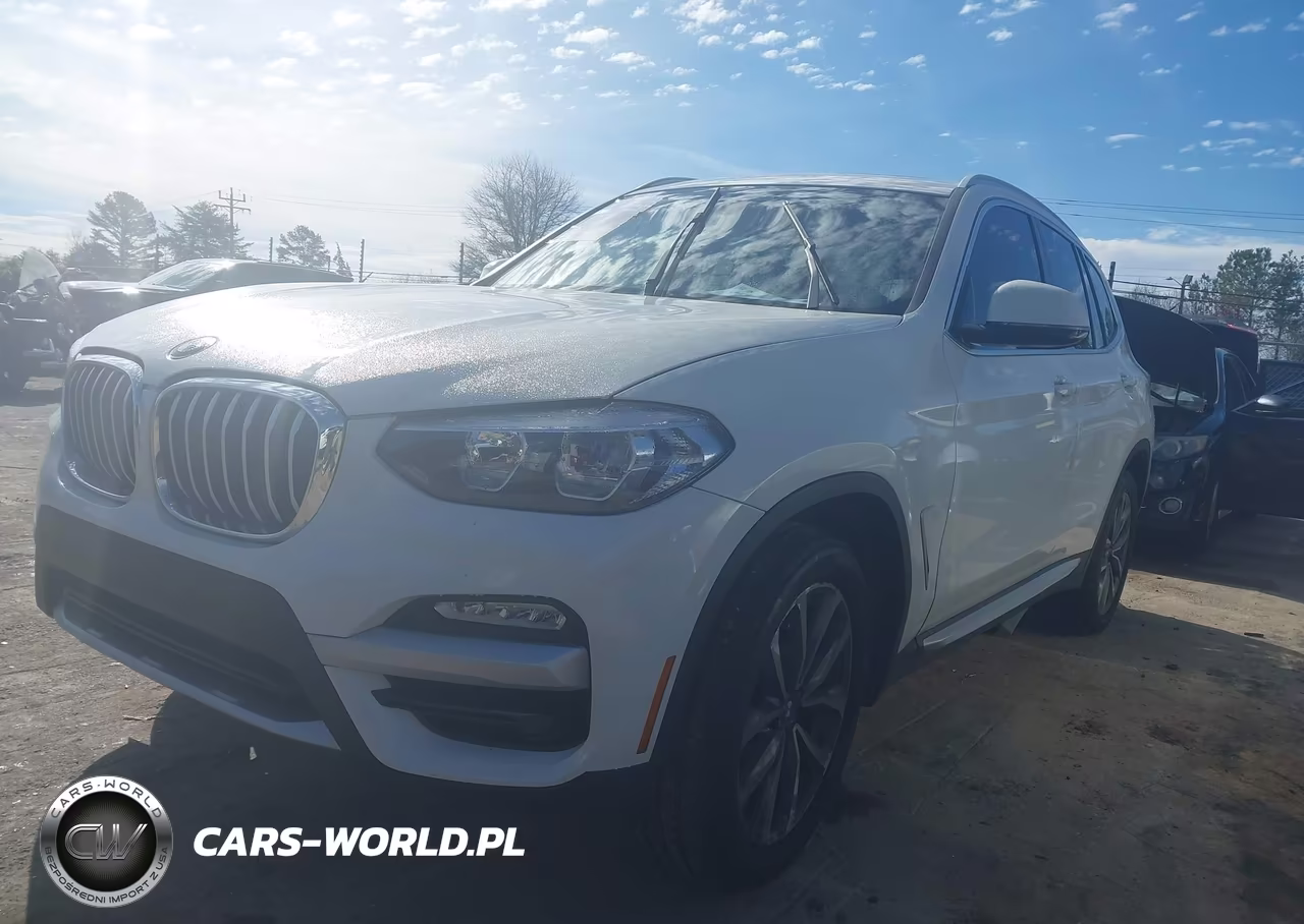 2019 BMW X3 Sdrive30I VIN:5UXTR7C59KLE93635 - 2