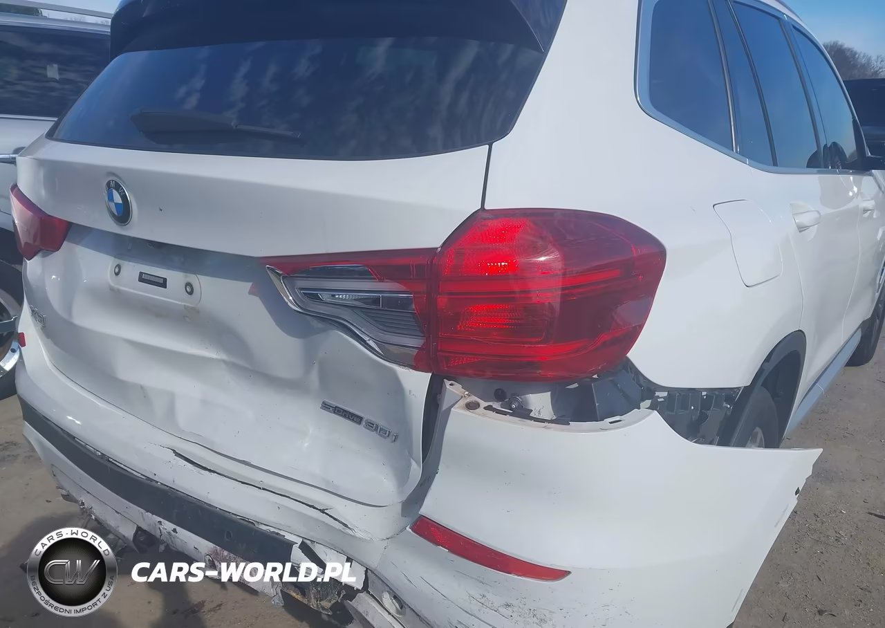 2019 BMW X3 Sdrive30I VIN:5UXTR7C59KLE93635 - 6