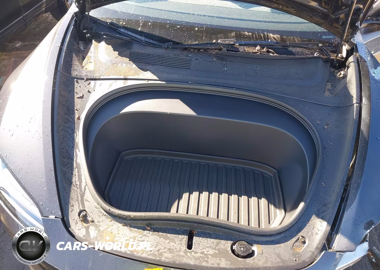 2025 Tesla Model 3 Long Range Rear-Wheel Drive-Standard Rear-Wheel Drive VIN:5YJ3E1EA9SF012268 - 10