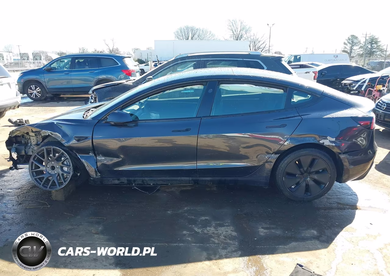 2025 Tesla Model 3 Long Range Rear-Wheel Drive-Standard Rear-Wheel Drive VIN:5YJ3E1EA9SF012268 - 13