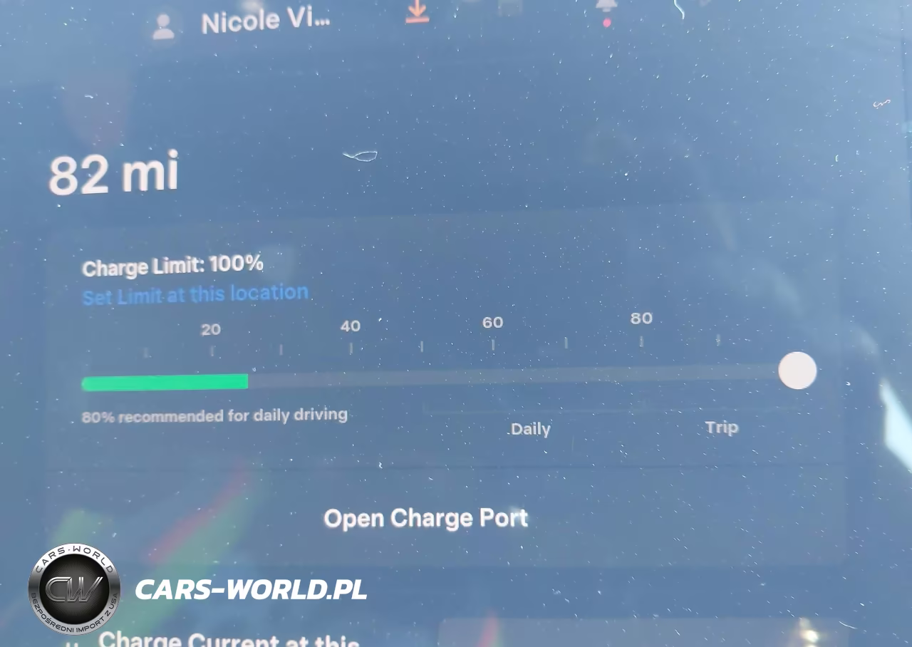 2025 Tesla Model 3 Long Range Rear-Wheel Drive-Standard Rear-Wheel Drive VIN:5YJ3E1EA9SF012268 - 16