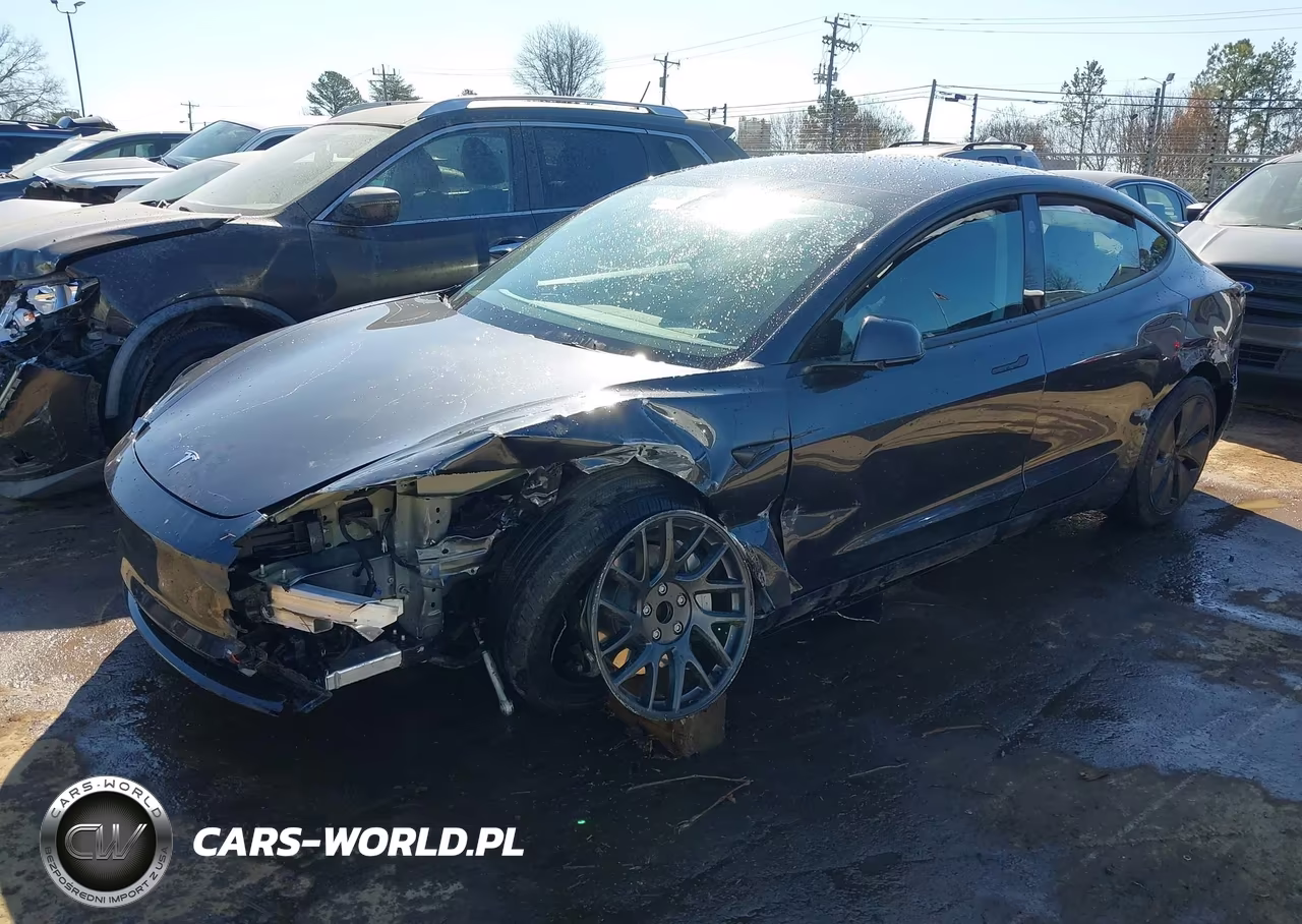 2025 Tesla Model 3 Long Range Rear-Wheel Drive-Standard Rear-Wheel Drive VIN:5YJ3E1EA9SF012268 - 2