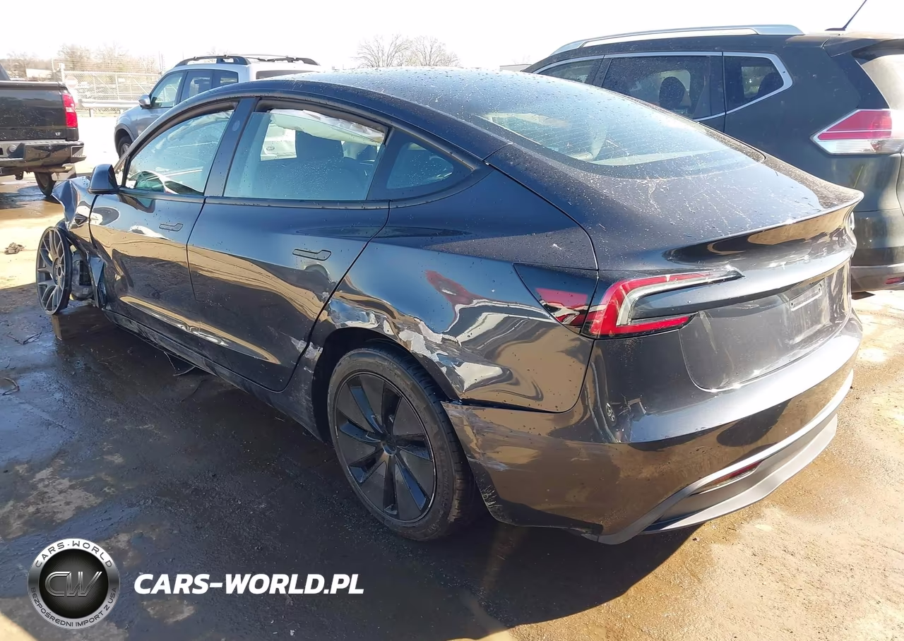 2025 Tesla Model 3 Long Range Rear-Wheel Drive-Standard Rear-Wheel Drive VIN:5YJ3E1EA9SF012268 - 3
