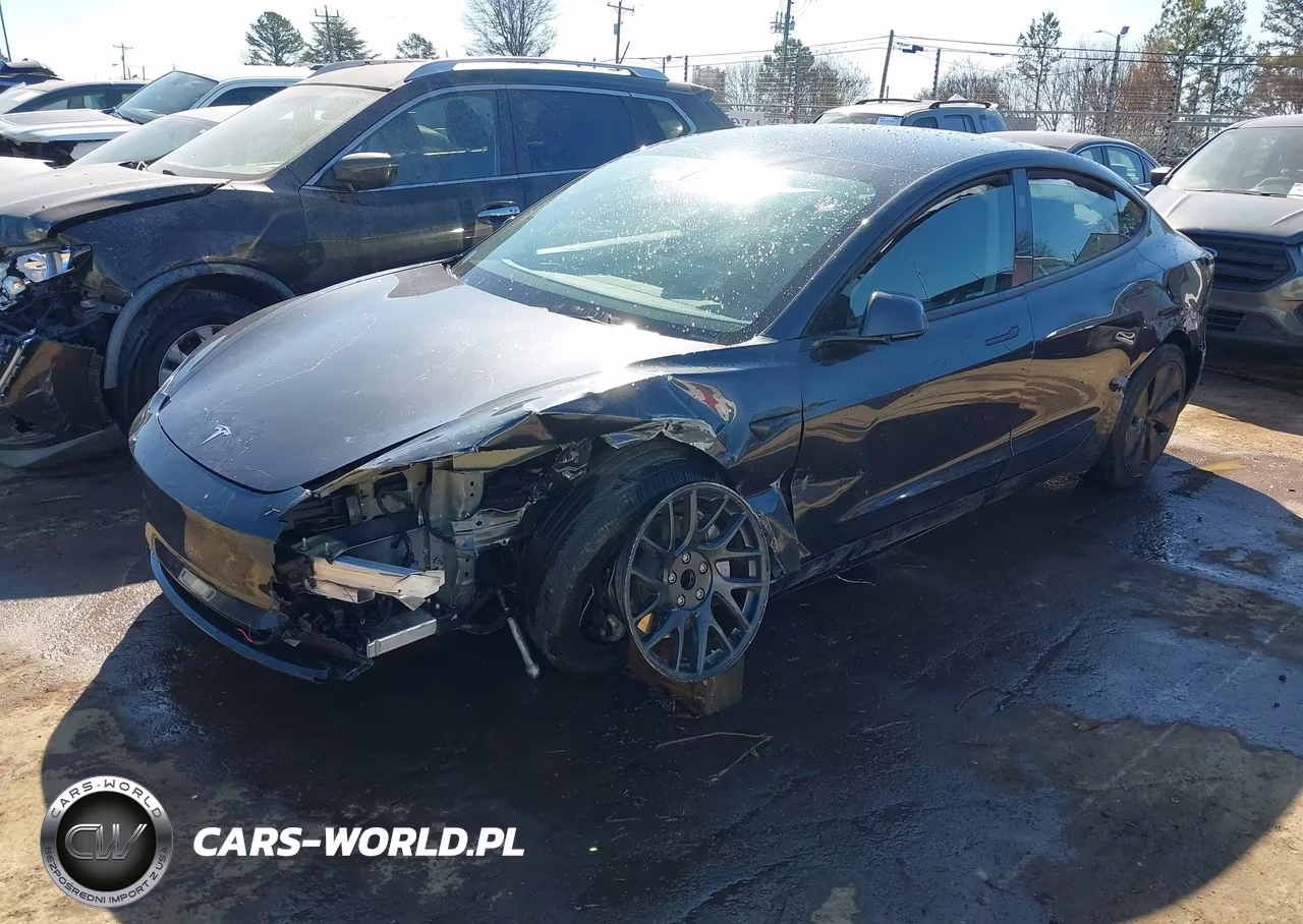 2025 Tesla Model 3 Long Range Rear-Wheel Drive-Standard Rear-Wheel Drive VIN:5YJ3E1EA9SF012268 - 6
