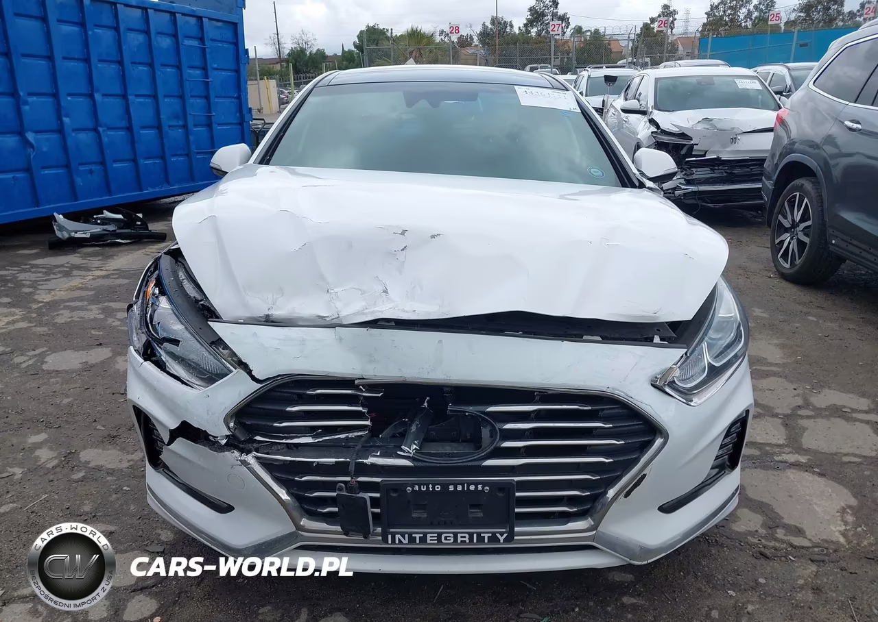 2019 Hyundai Sonata Hybrid Limited VIN:KMHE34L36KA094176 - 12