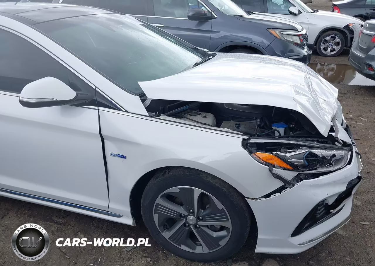 2019 Hyundai Sonata Hybrid Limited VIN:KMHE34L36KA094176 - 17