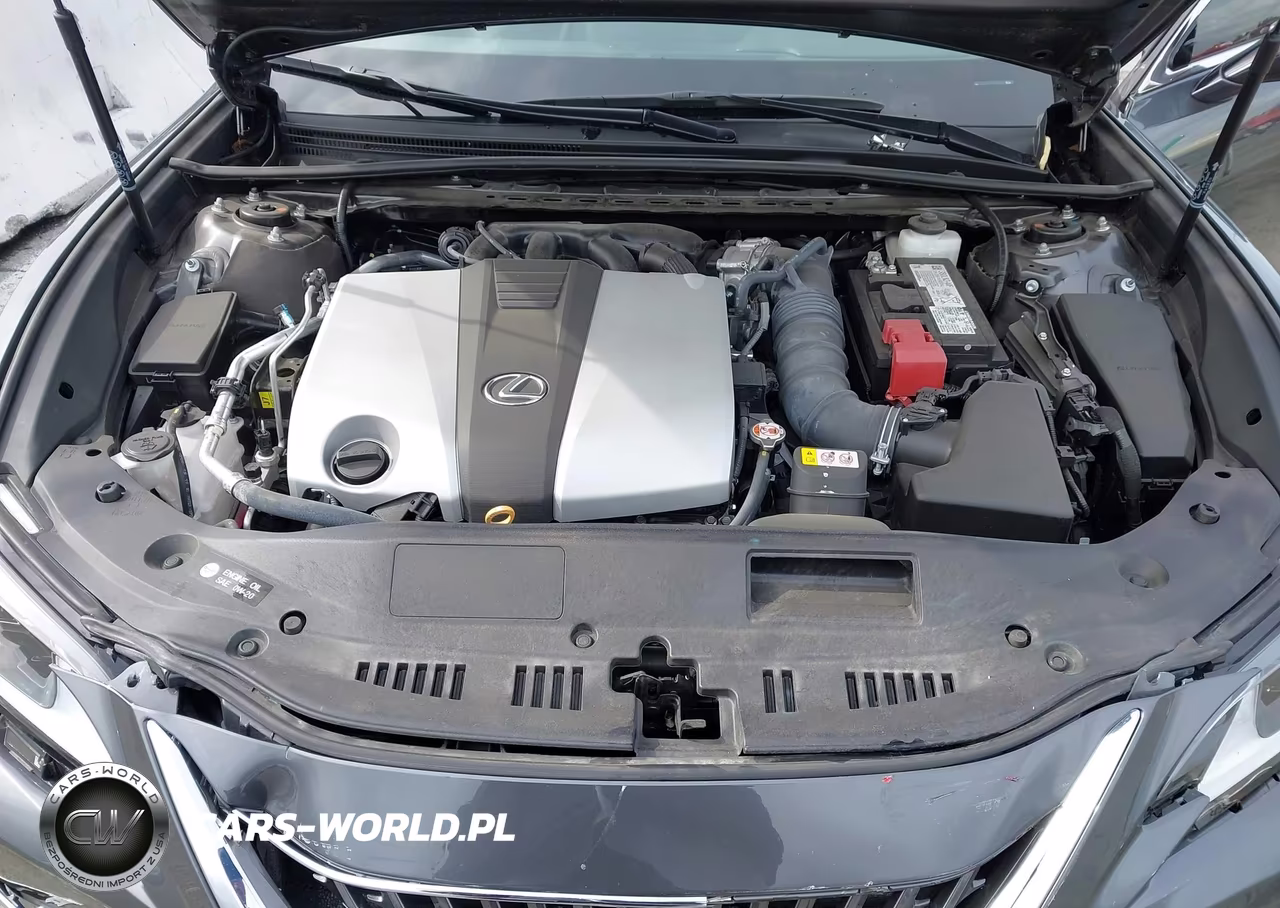 2024 Lexus Es 350 VIN:58ACZ1B1XRU181701 - 10