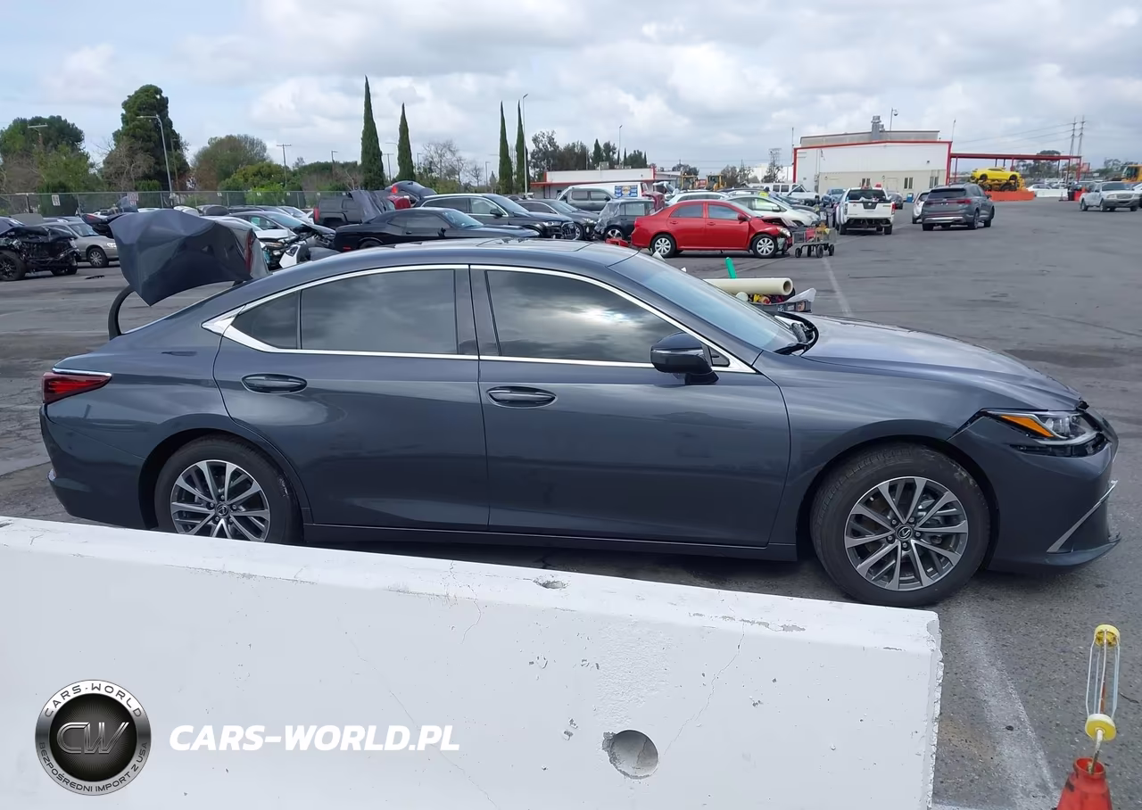 2024 Lexus Es 350 VIN:58ACZ1B1XRU181701 - 13