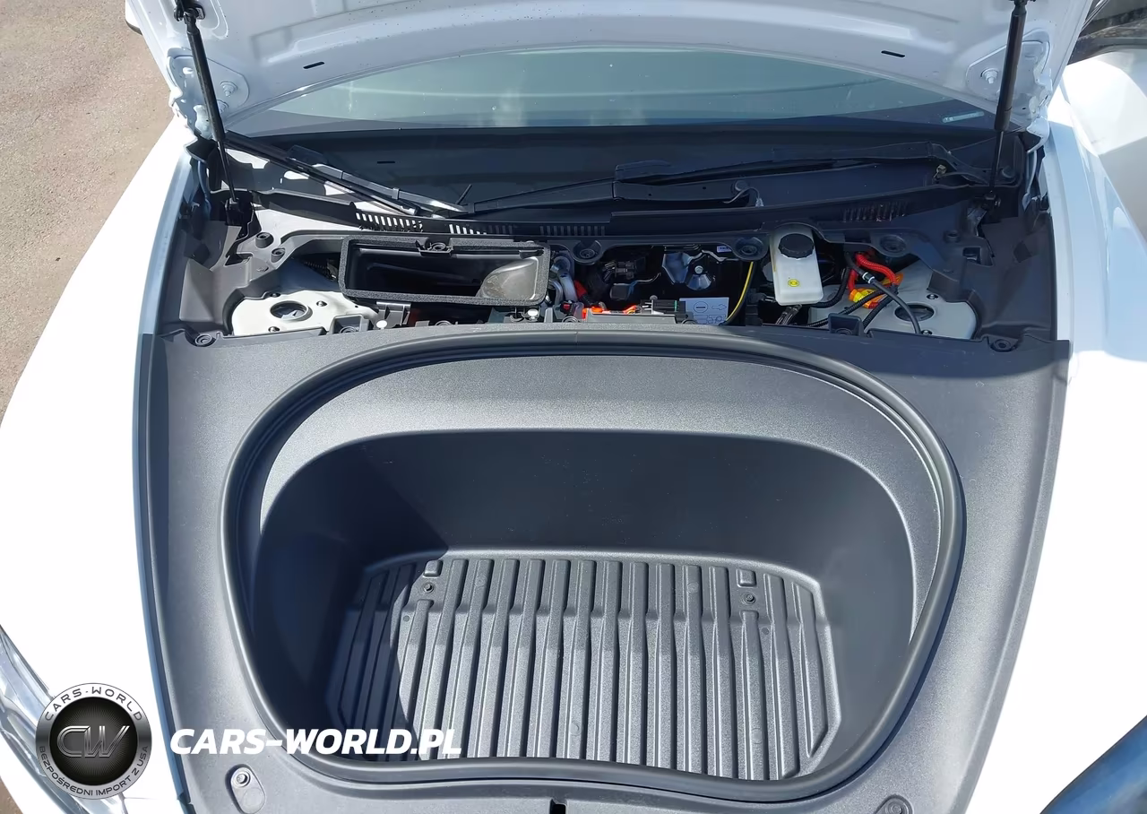 2025 Tesla Model 3 Long Range Rear-Wheel Drive-Standard Rear-Wheel Drive VIN:5YJ3E1EA0SF981943 - 10