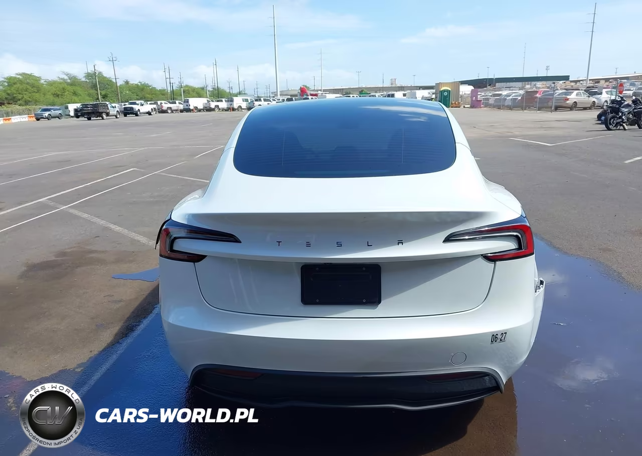 2025 Tesla Model 3 Long Range Rear-Wheel Drive-Standard Rear-Wheel Drive VIN:5YJ3E1EA0SF981943 - 17