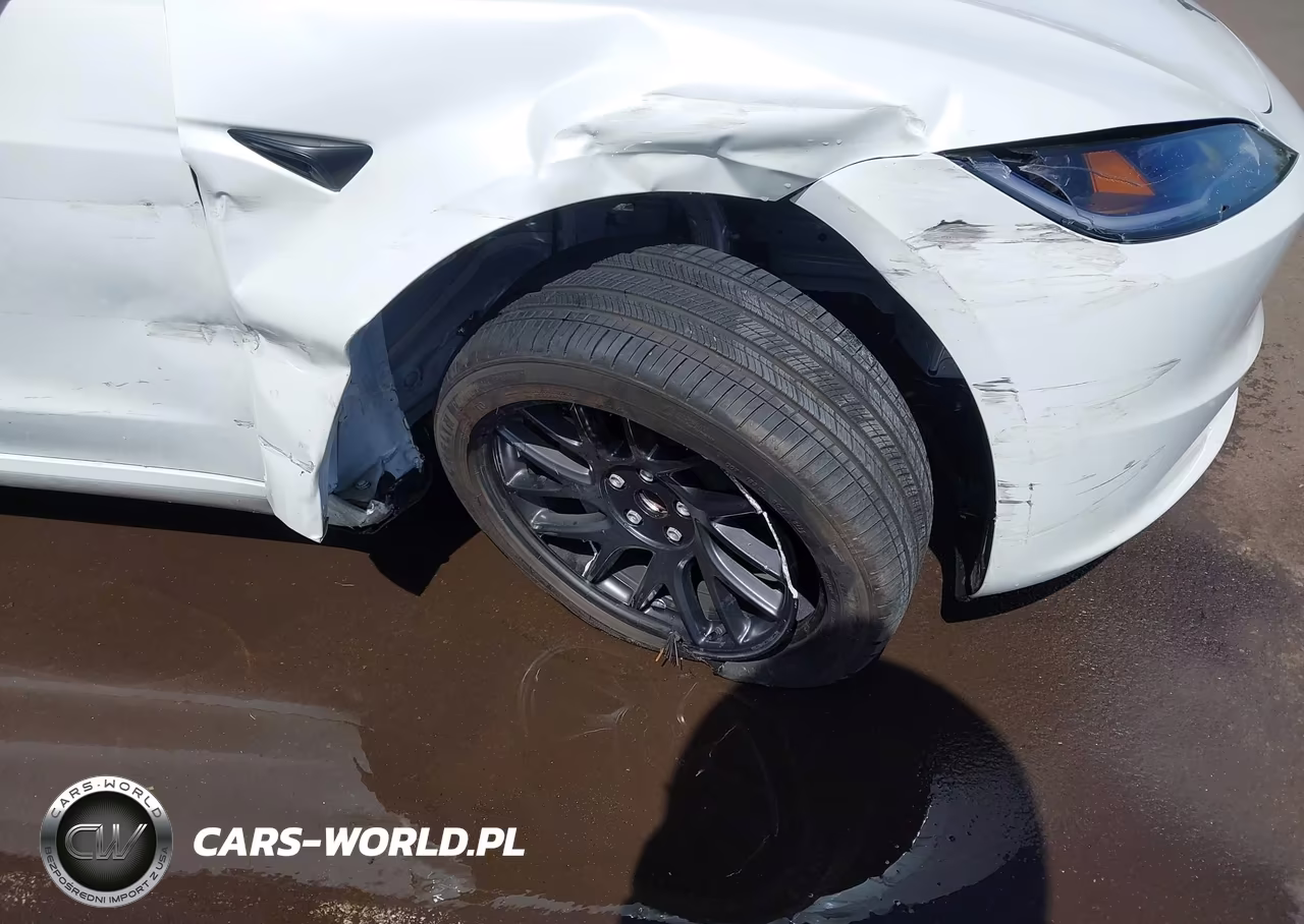 2025 Tesla Model 3 Long Range Rear-Wheel Drive-Standard Rear-Wheel Drive VIN:5YJ3E1EA0SF981943 - 20